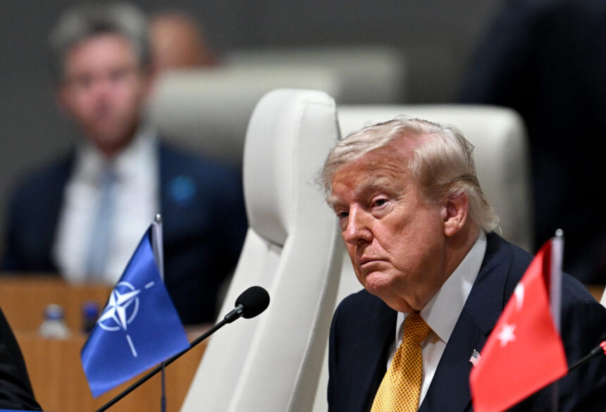 statele nato din europa de est se dau bine pe langa trump i au pregatit liderului sua o oferta financiara 6a899d64d1f50